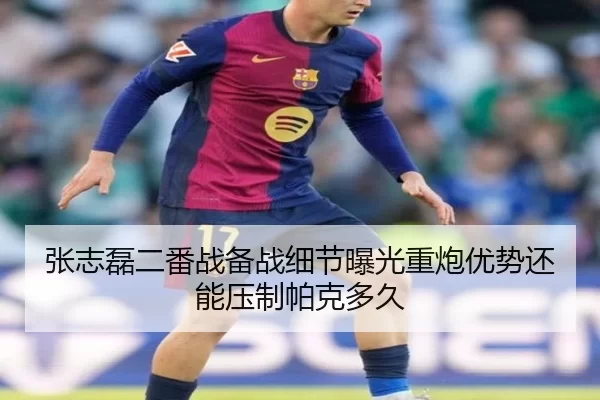 张志磊二番战备战细节曝光重炮优势还能压制帕克多久