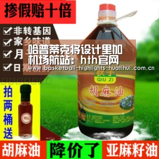 哈普蒂克将设计里加机场航站:hth官网(图3) 华体会体育网站