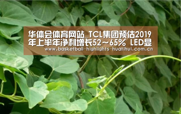 华体会体育网站_TCL集团预估2019年上半年净利增长52～65% LED显示行
