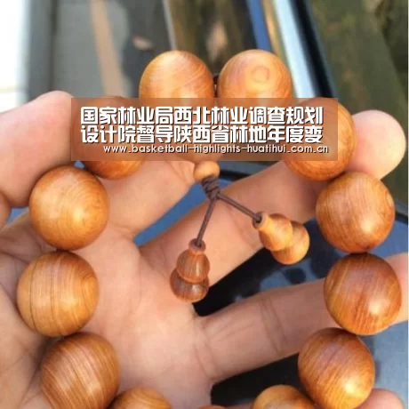 国家林业局西北林业调查规划设计院督导陕西省林地年度变更调查工作“华体会体育网站”(图4) 华体会体育网站